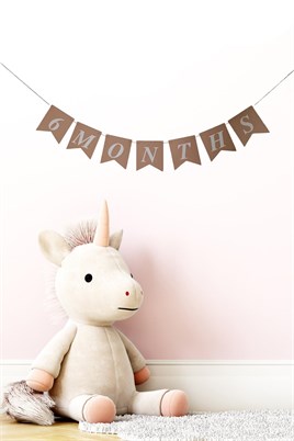 6 Months Yarım Yaş Retro Banner Süs 105 Cm x 17 Cm 