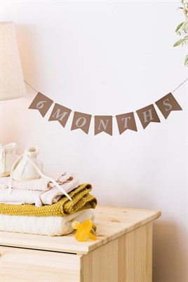 6 Months Yarım Yaş Retro Banner Süs 105 Cm x 17 Cm 