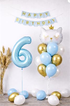 6 Yaş Kedi Temalı Doğum Günü Balon Seti – Mavi Gold Konsept
