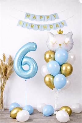 6 Yaş Kedi Temalı Doğum Günü Balon Seti – Mavi Gold Konsept