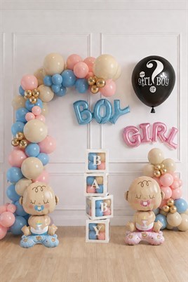 Cinsiyet Belirleme Parti Seti; Baby Kutulu Boy Girl Temalı Konsept 6