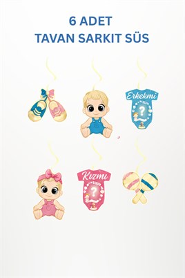 Cinsiyet Partisi Süsleri Seti – Kız mı Erkek mi? Baby Shower Gender Reveal Parti Dekorasyon Seti
