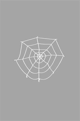 Dekoratif Örümcek Ağ 1 Metre Beyaz Halloween Cadılar Bayramı Parti Malzemesi