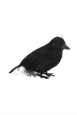 Dekoratif Siyah Kuzgun 18 cm Halloween Cadılar Bayramı Parti Dekoru