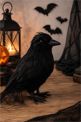 Dekoratif Siyah Kuzgun 18 cm Halloween Cadılar Bayramı Parti Dekoru