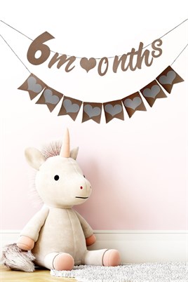 Elyazılı 6 Months Kraft Retro Banner Ve 8 Li Kraft Kalp Banner Süs 2 Li Set