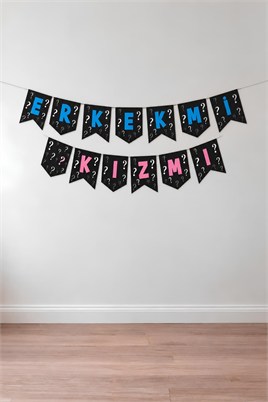 Erkek Mi Kız Mı Zikzak Banner 