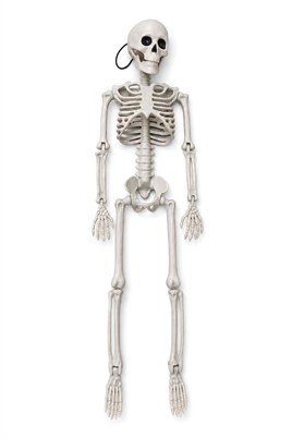 Halloween Cadılar Bayramı 90 Cm Asılabilir İskelet Dekor Süsü – Hareketli Kuru Kafa İskelet