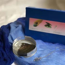 İstiridye İçerisinde İnci Kolye Sevgiliye Hediye