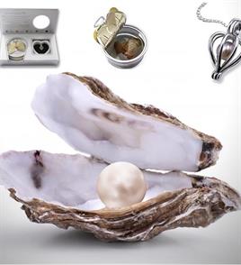 İstiridye İçerisinde İnci Kolye Sevgiliye Hediye