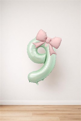 Pembe Fiyonk & Adaçayı Yeşili Rakam 9 Folyo Balon Seti