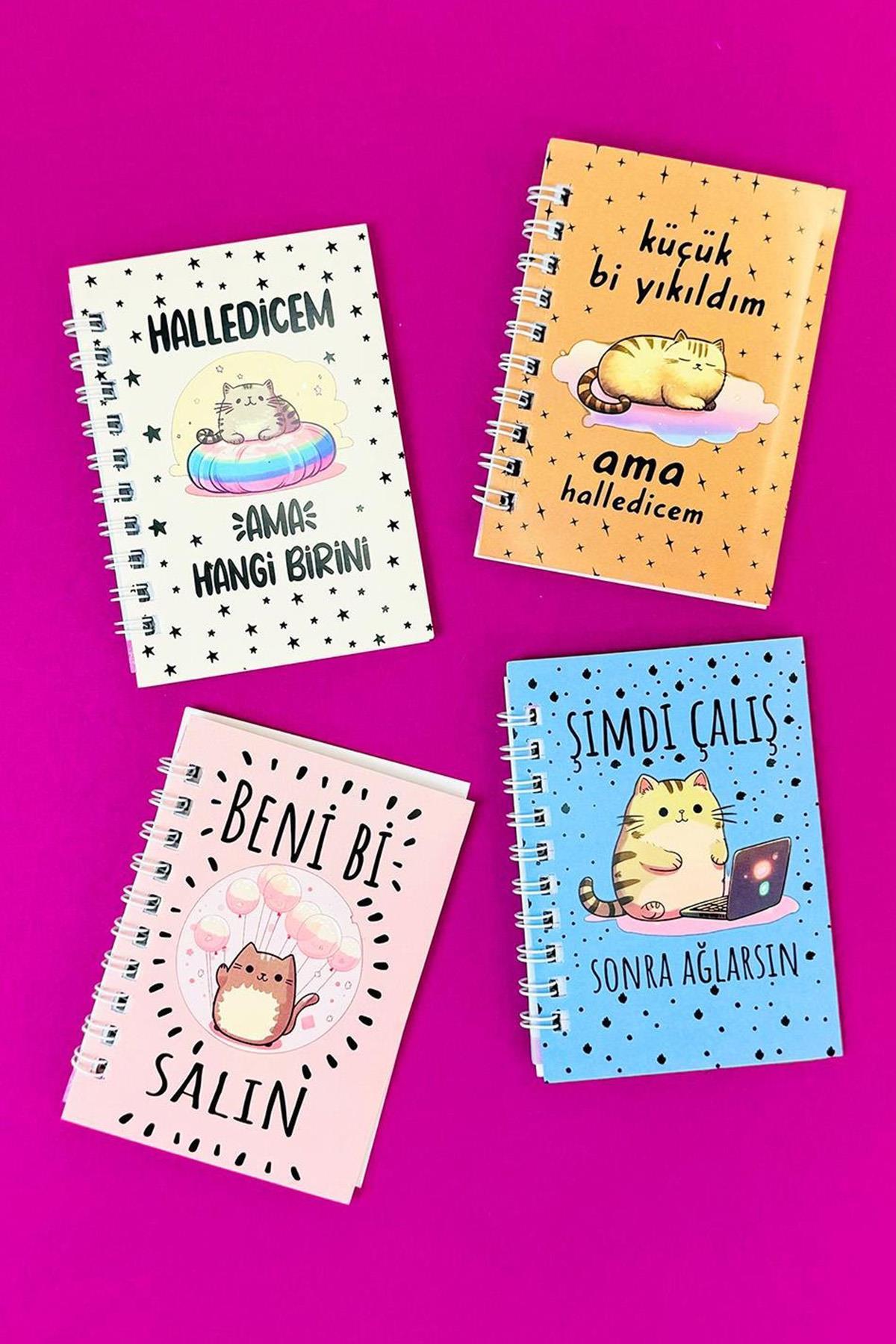 Mini 4'lü Kedili Spiralli Defter