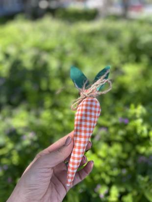 Pötikareli Dekoratif Havuç