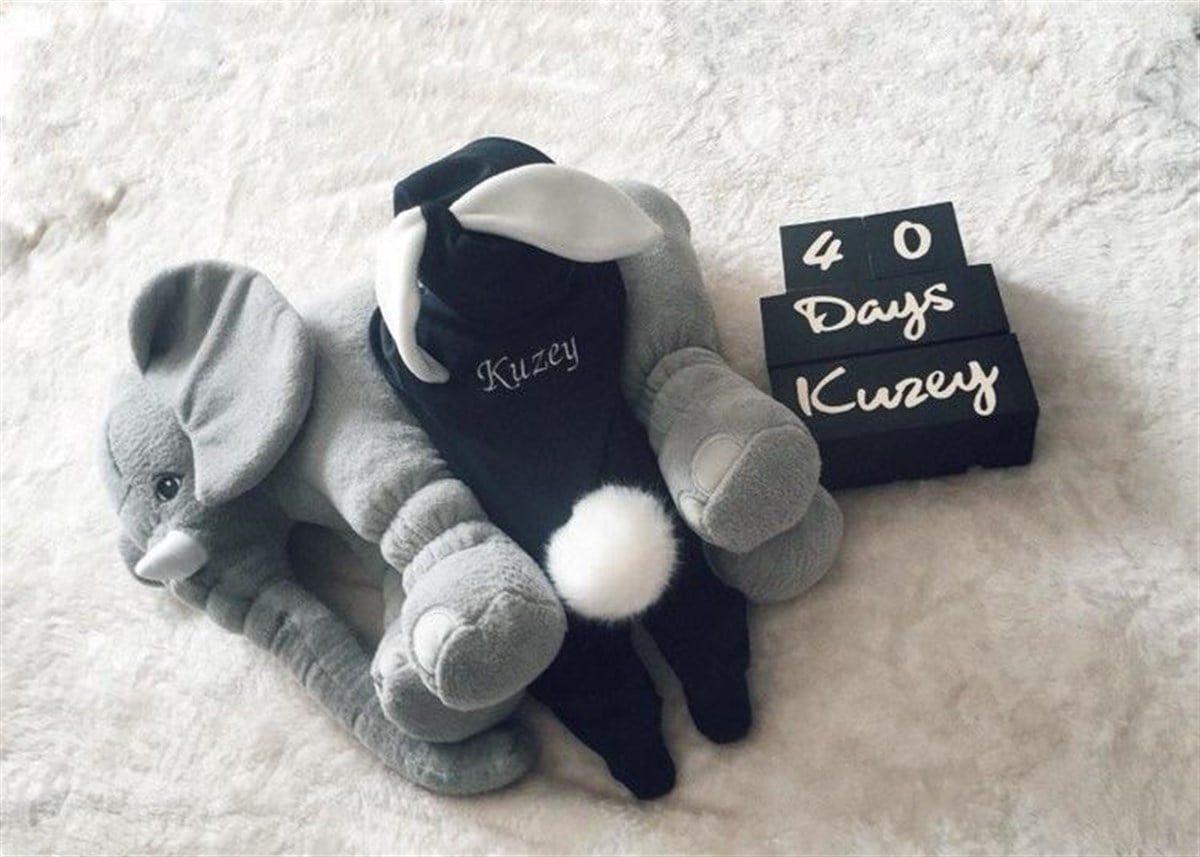 Lacivert Tavşan Tulum