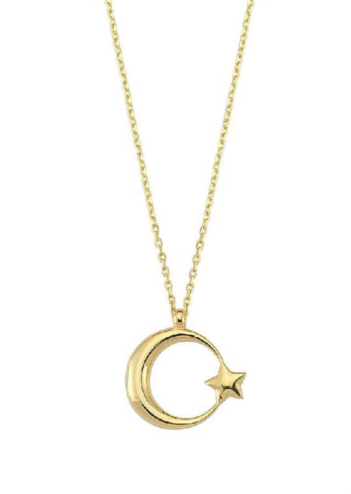 14 Ayar Altın Ayyıldız Kolye