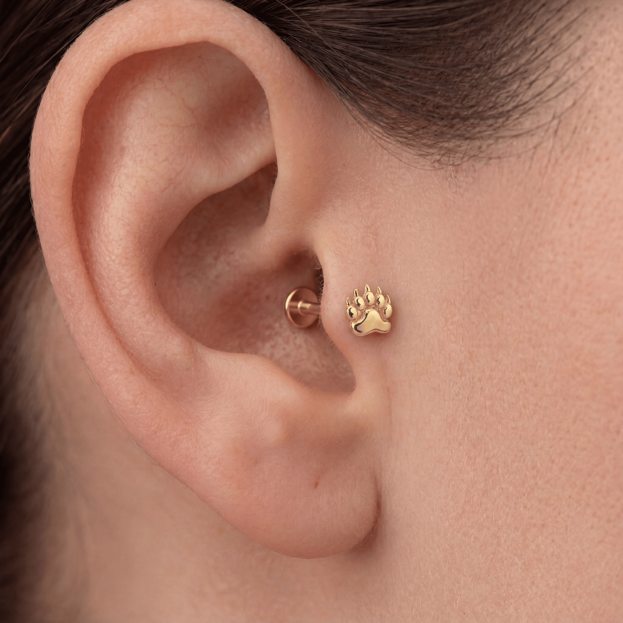 14 Ayar Altın Tragus Piercing