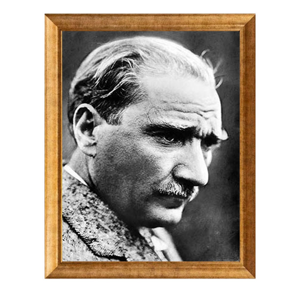 Atatürk Derin Bakışlı Profil Altın Çerçeveli Tablo