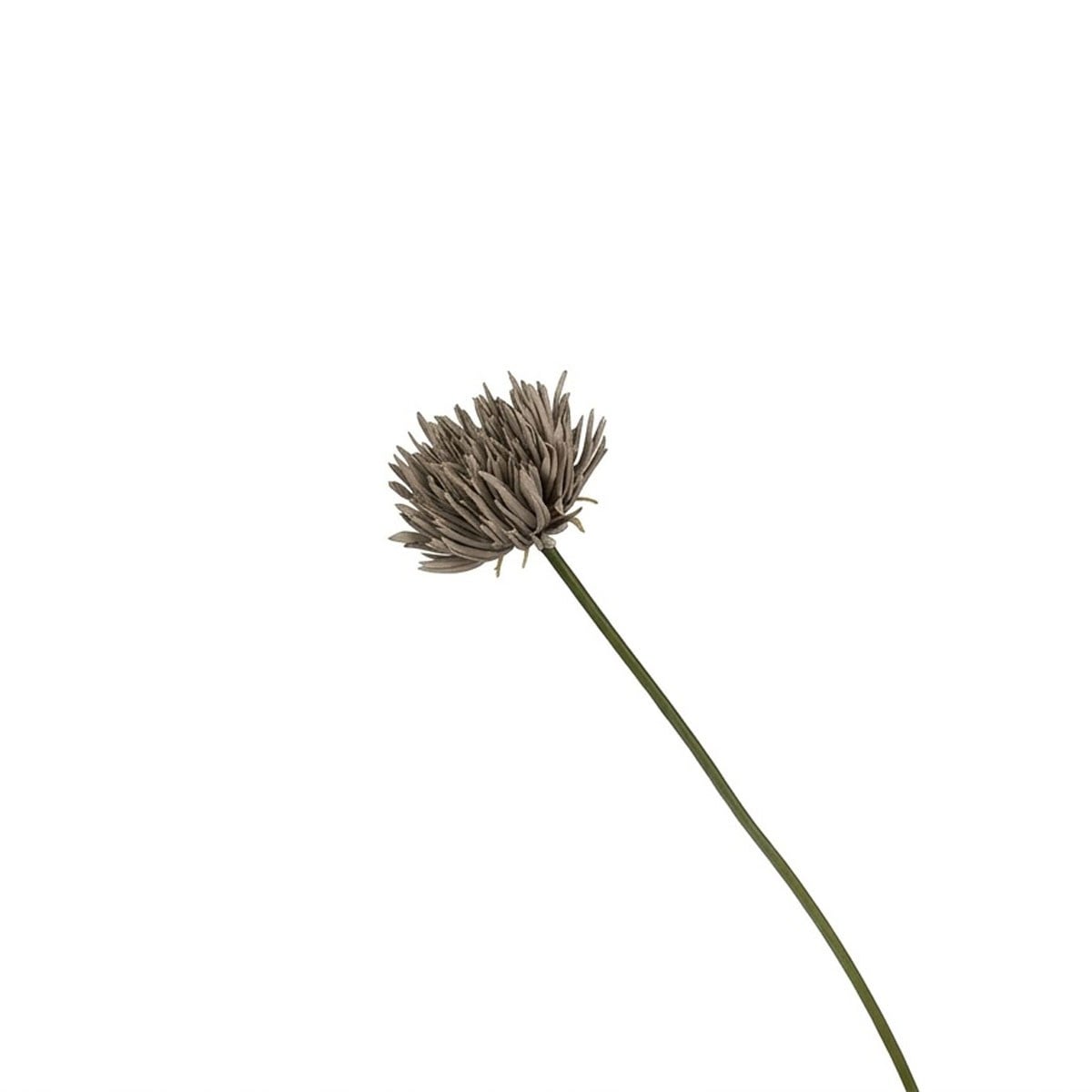 Yapay Allium Çiçeği Gri 46 cm Tek Dal Dekoratif Vazo Çiçeği
