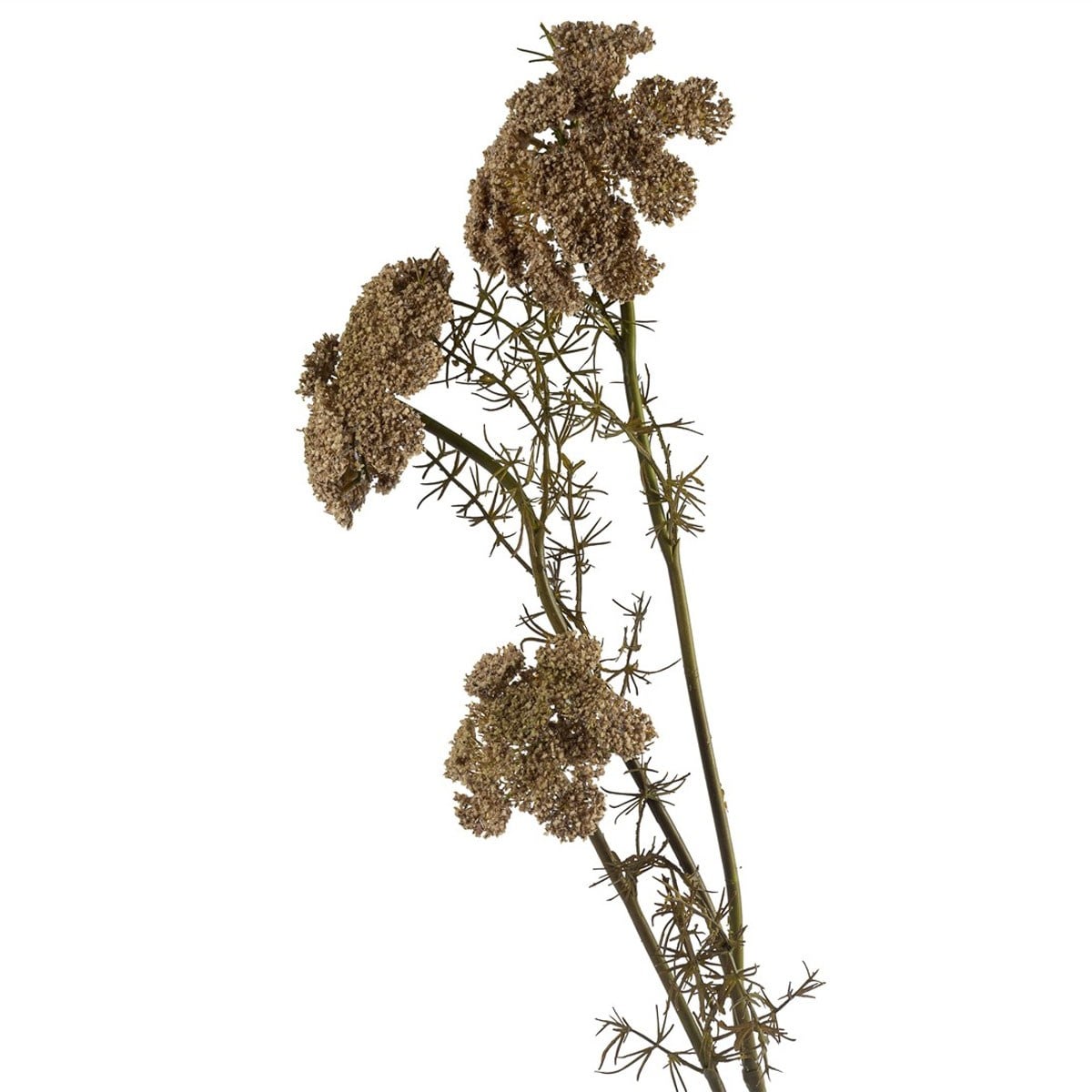 Yapay Havuç Çiçeği Dalı Bej 73 cm
