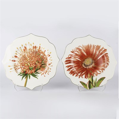 Mikasa Moor Art Of Botanica Kırmızı 2li Tatlı Tabağı 21 cm