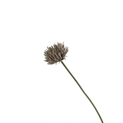 Yapay Allium Çiçeği Gri 46 cm Tek Dal Dekoratif Vazo Çiçeği