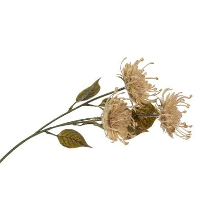 Yapay İğnedenlik Dalı Yavruağzı 68 cm (Protea / Karanfil Çiçeği)