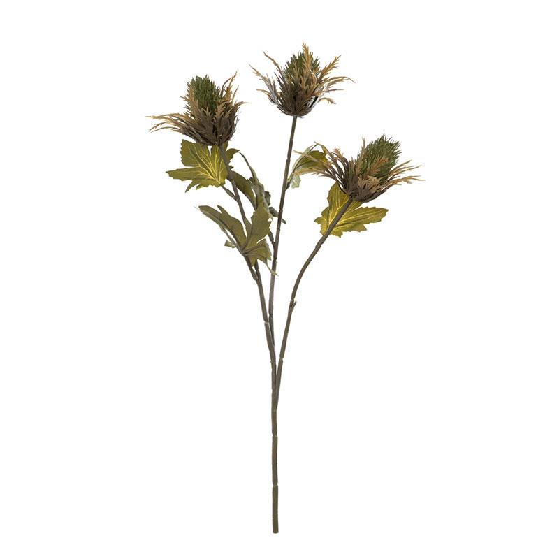Deve Dikeni Yeşil 67 cm - KUK