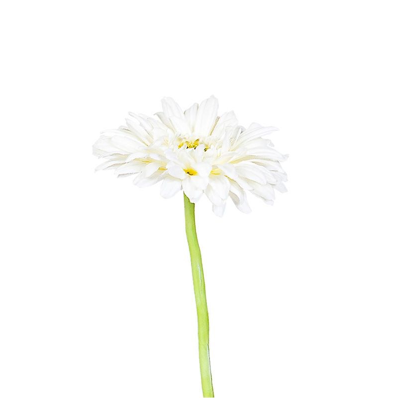 Kuk Tek Dal Gerbera Beyaz 63 cm