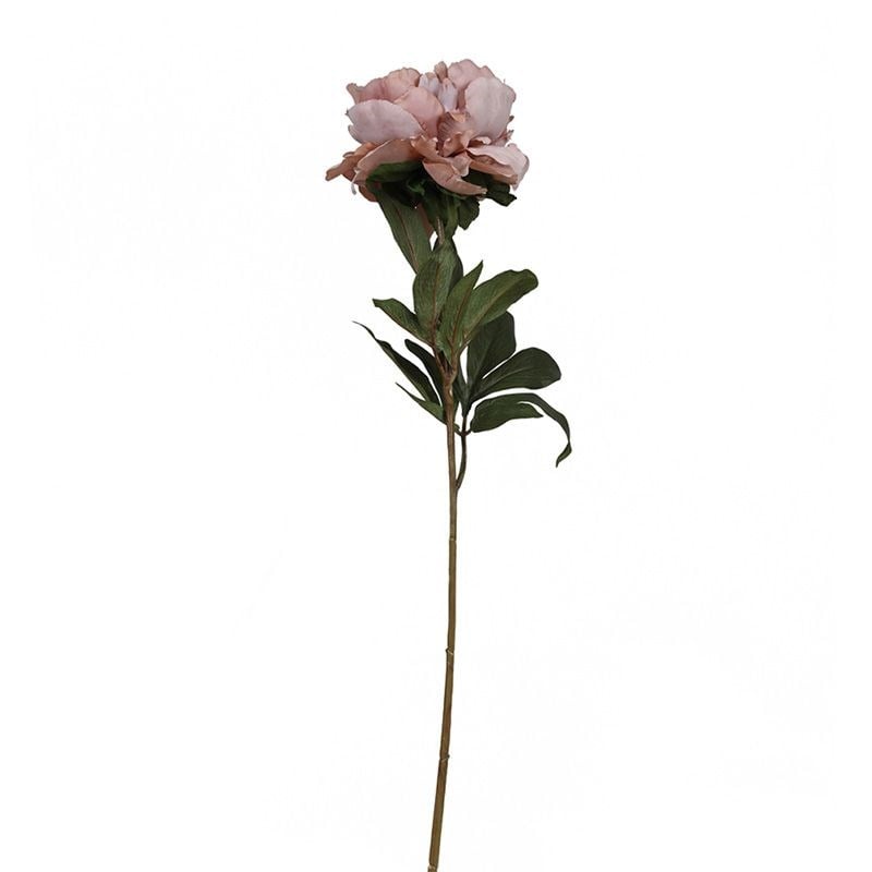 Kuk Tek Dal Şakayık Dusty Pink