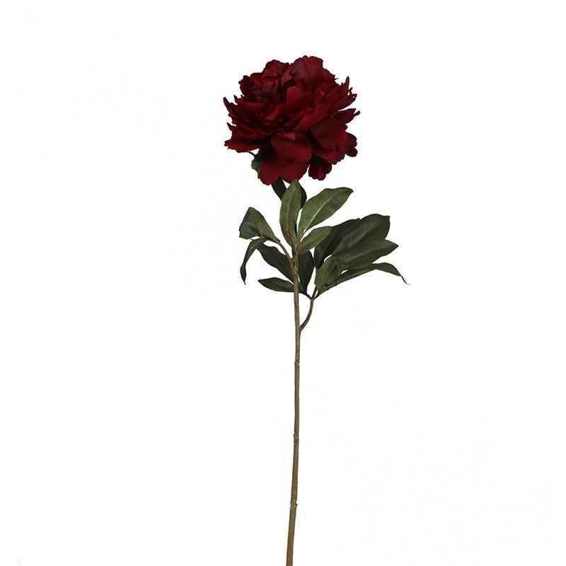 Kuk Tek Dal Şakayık Mauve Rose