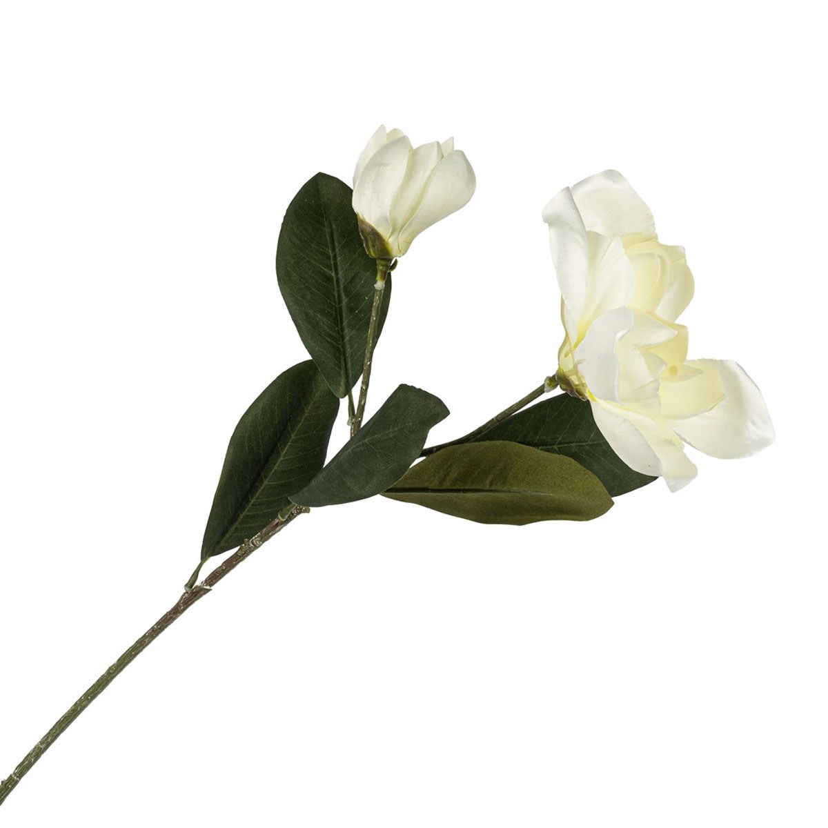 Çamlıca Home kırık beyaz etli taç yapraklı ve tomurcuklu yapay manolya magnolia dalı koyu yeşil yaprak detaylı beyaz zemin ürün çekimi 73 cm