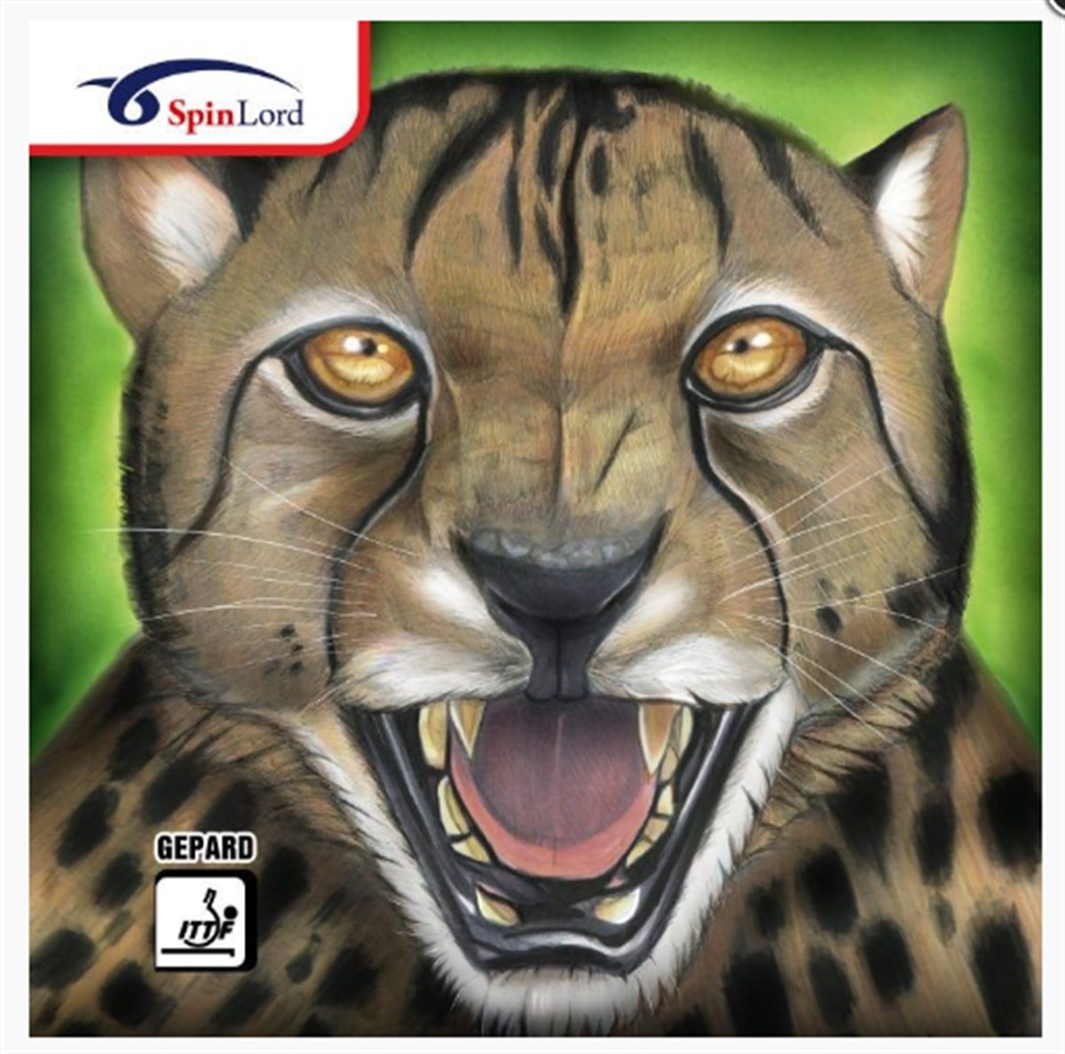 SPİNLORDSPİNLORDSpinlord Gepard