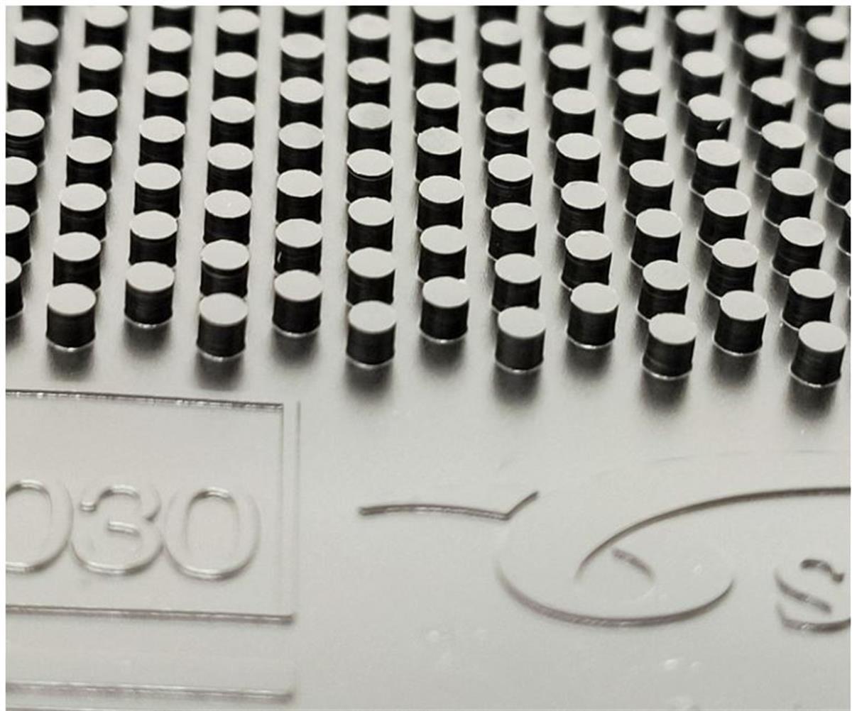 SPİNLORDSPİNLORDSpinLord Hai