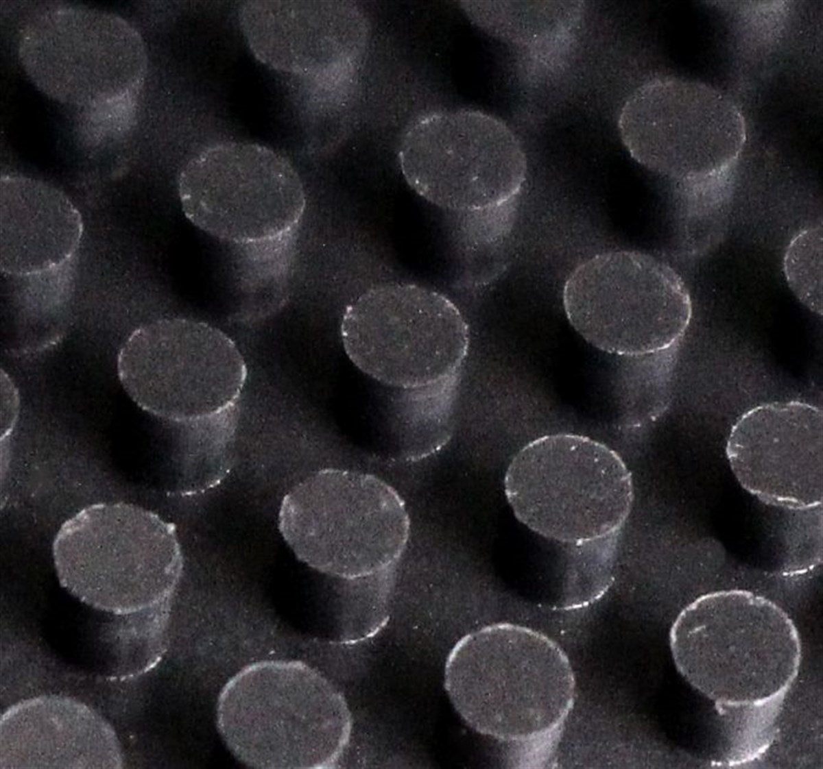 SPİNLORDSPİNLORDSpinLord Stachelfeuer OX