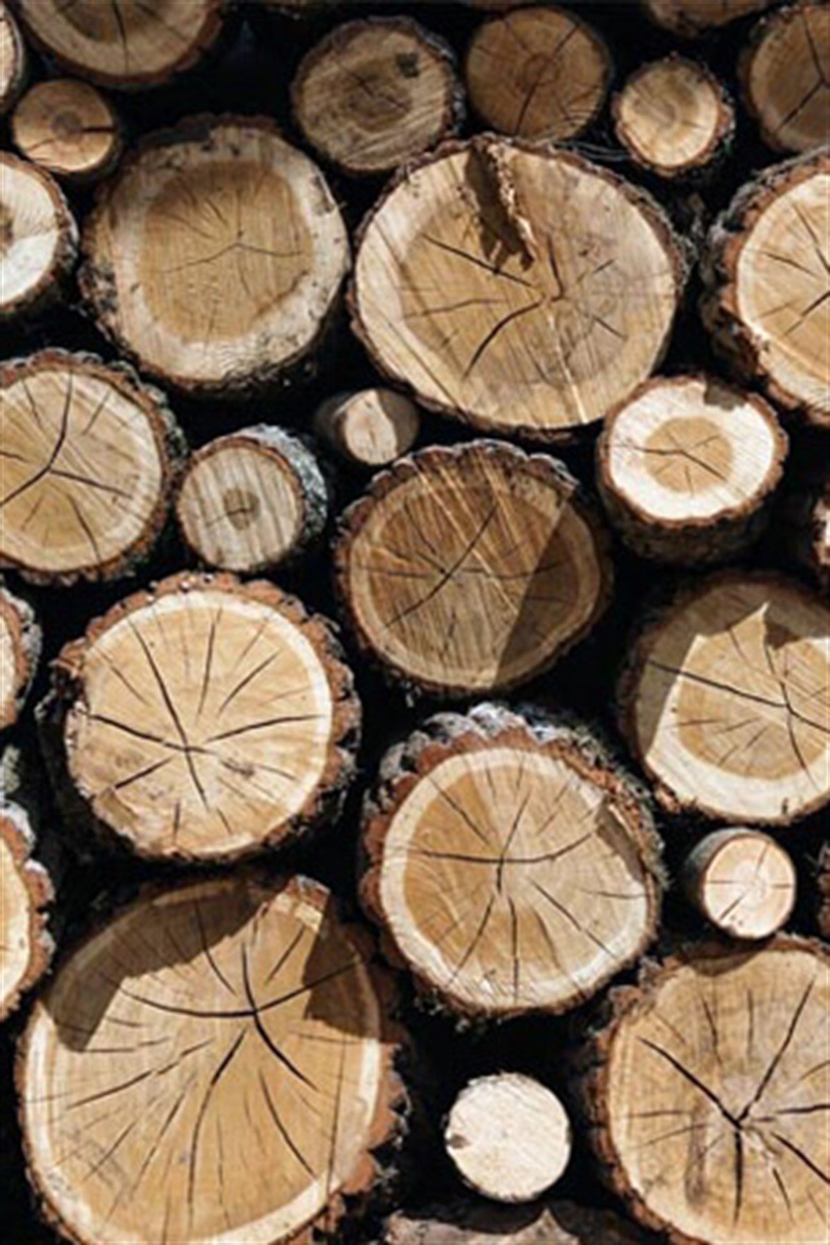 Yuvarlak Şömine Odunu