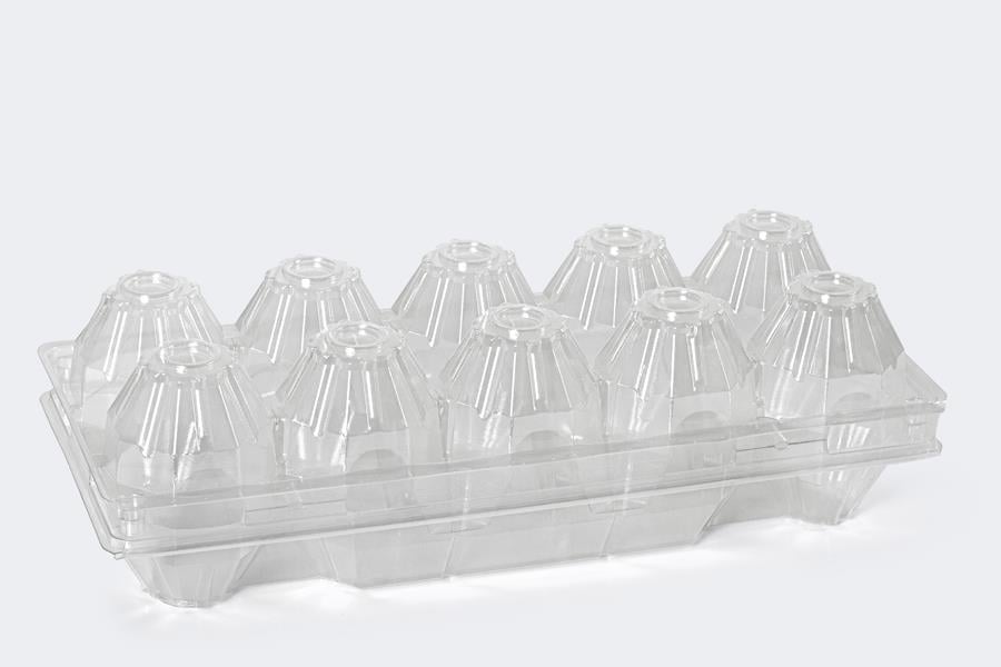 10'LU YUMURTA VİYÖLÜ (100 Adet)