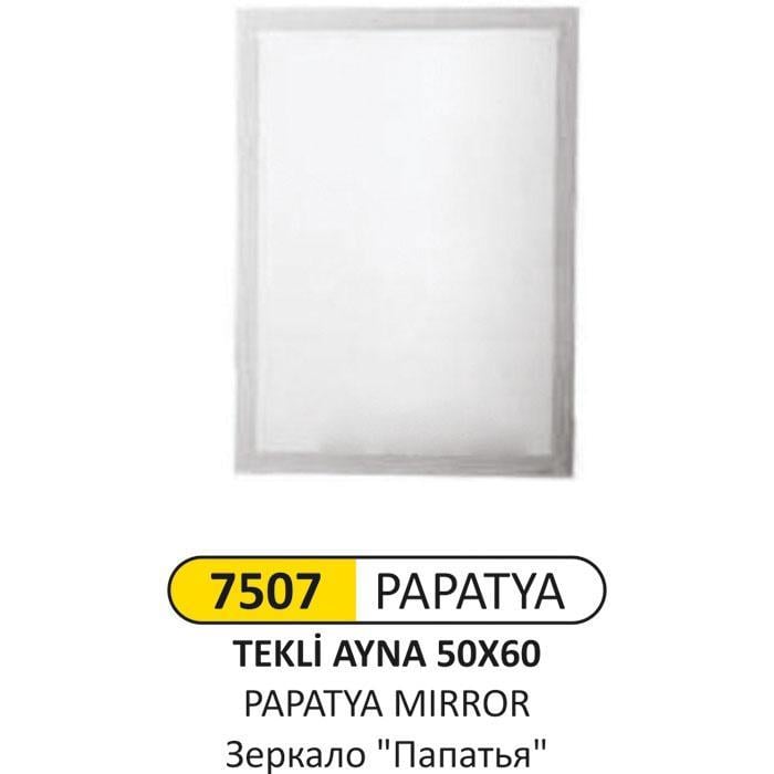 PAPATYA AYNA