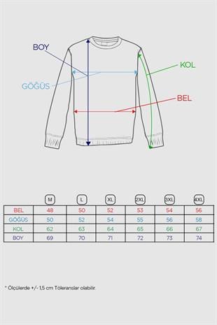 Açık Kahve Standart Fit Dar Kalıp Yarım Balıkçı Düz Uzun Kollu  Triko