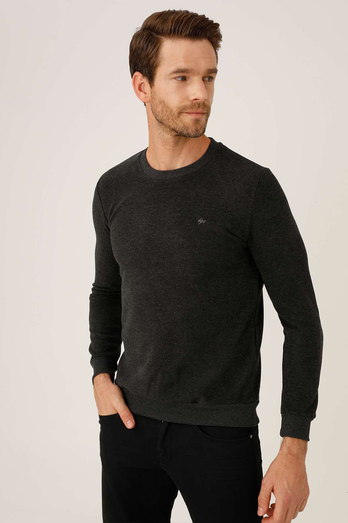 Antrasit Regular Fit Rahat Kalıp Bisiklet Yaka Düz Uzun Kollu  Triko