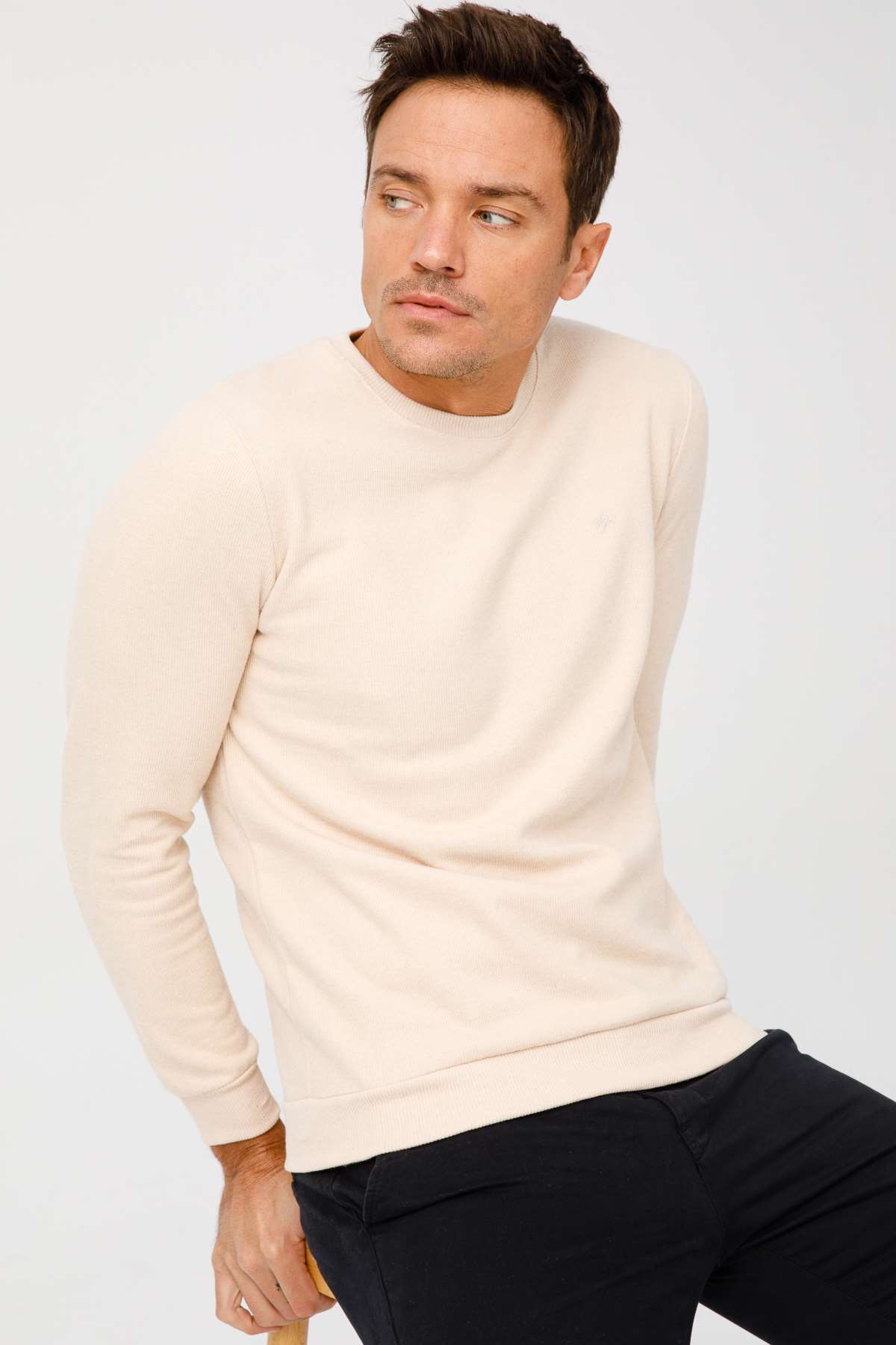 Bej Regular Fit Rahat Kalıp Bisiklet Yaka Düz Uzun Kollu  Triko