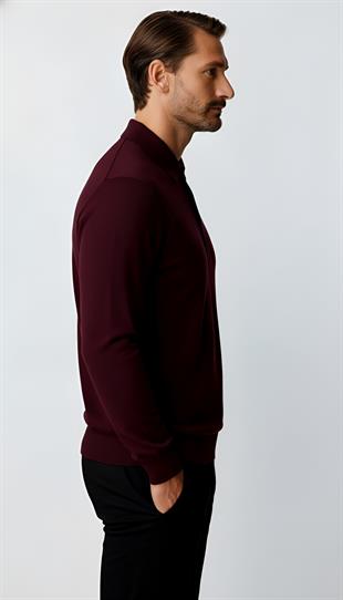 Mürdüm Standart Fit Dar Kalıp Polo Yaka Düz Uzun Kollu  Triko