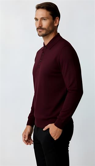 Mürdüm Standart Fit Dar Kalıp Polo Yaka Düz Uzun Kollu  Triko