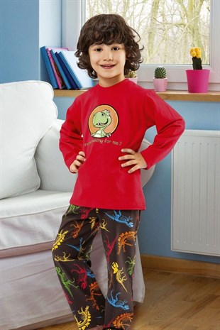 Hmd 5154 Dinozor Erkek Çocuk Pamuklu Uzun Kol Pijama Takımı