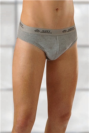 Anıt 1116 Gri 3 Adet Ribana Pamuklu Erkek Slip Külot