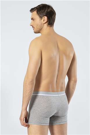 Cacharel 1315 Gri Melanj Erkek Boxer
