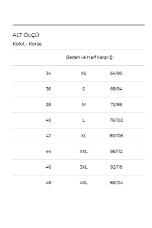 Magic Form 410 Kadın Mürdüm Yüksek Belli Dantelli Normal Külot