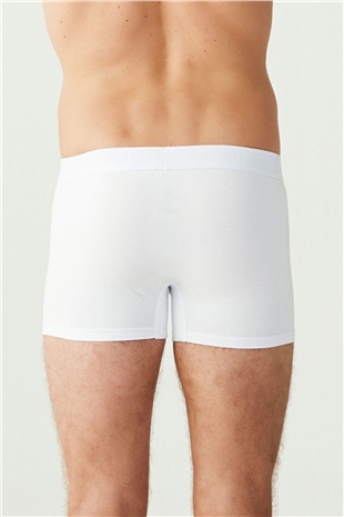 U.S. Polo Assn. 80173 Erkek Beyaz 3lü Boxer