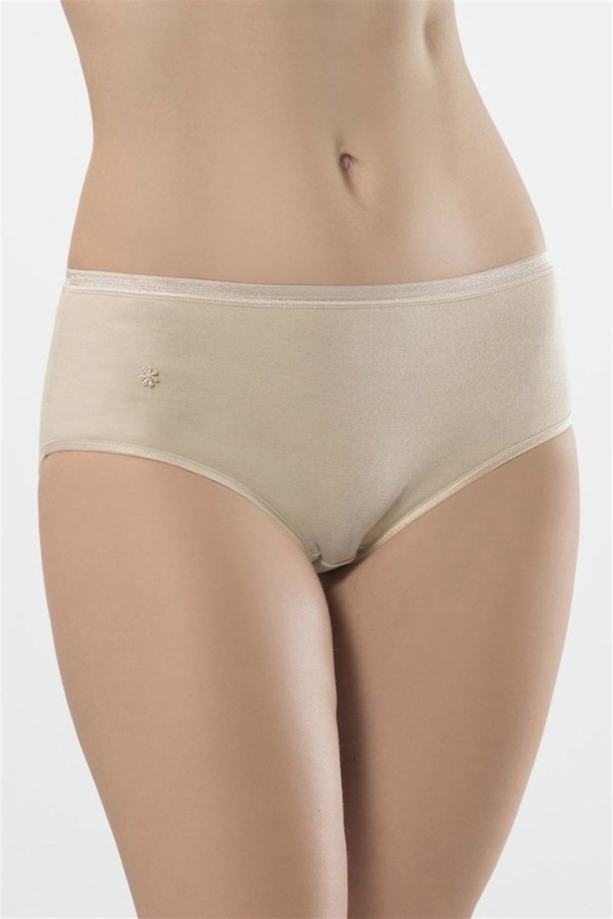 Türen Kadın Ten 2'li Abiye Ribana Bikini Külot 234