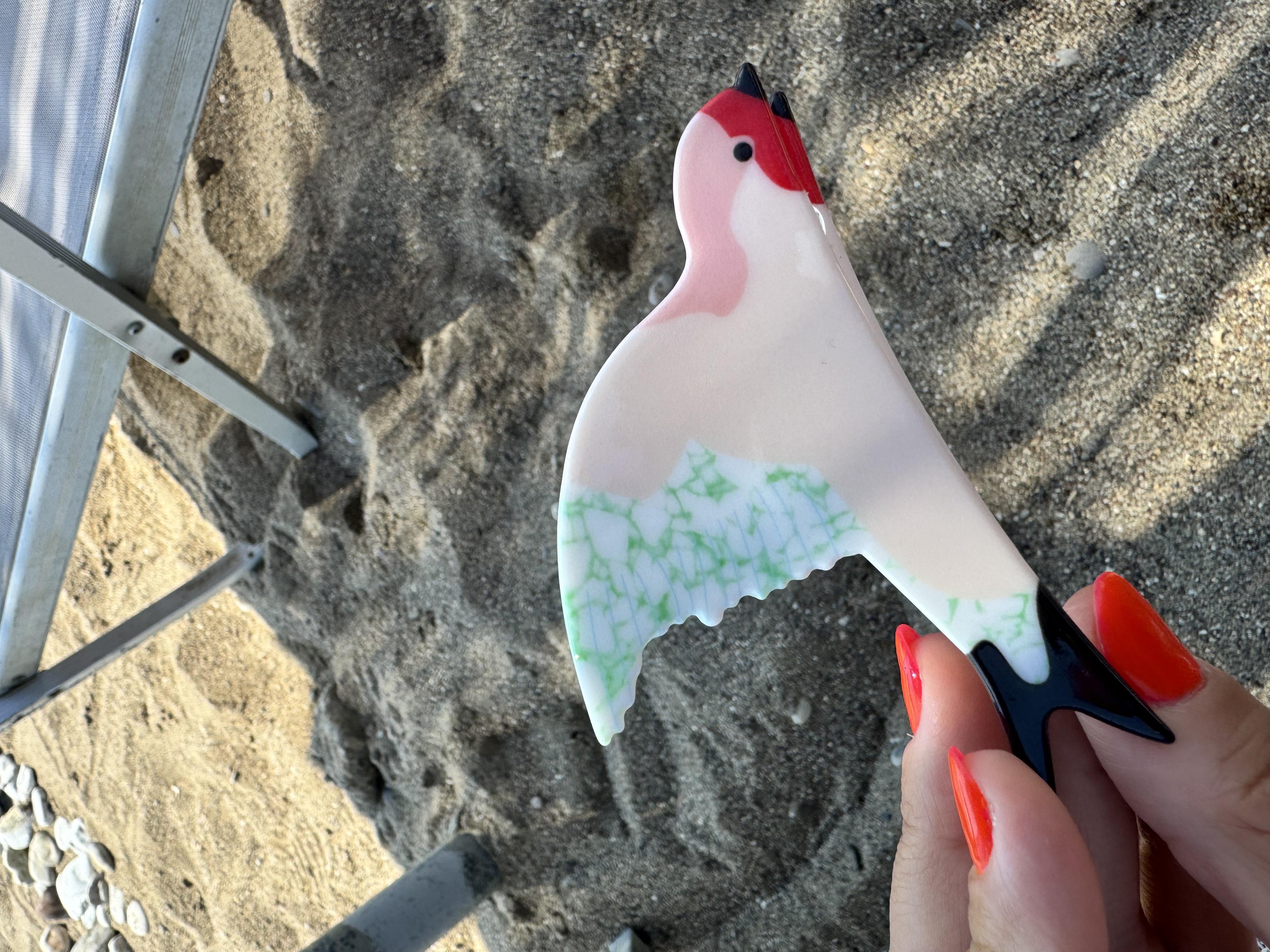 Kırlangıç Kemik Toka