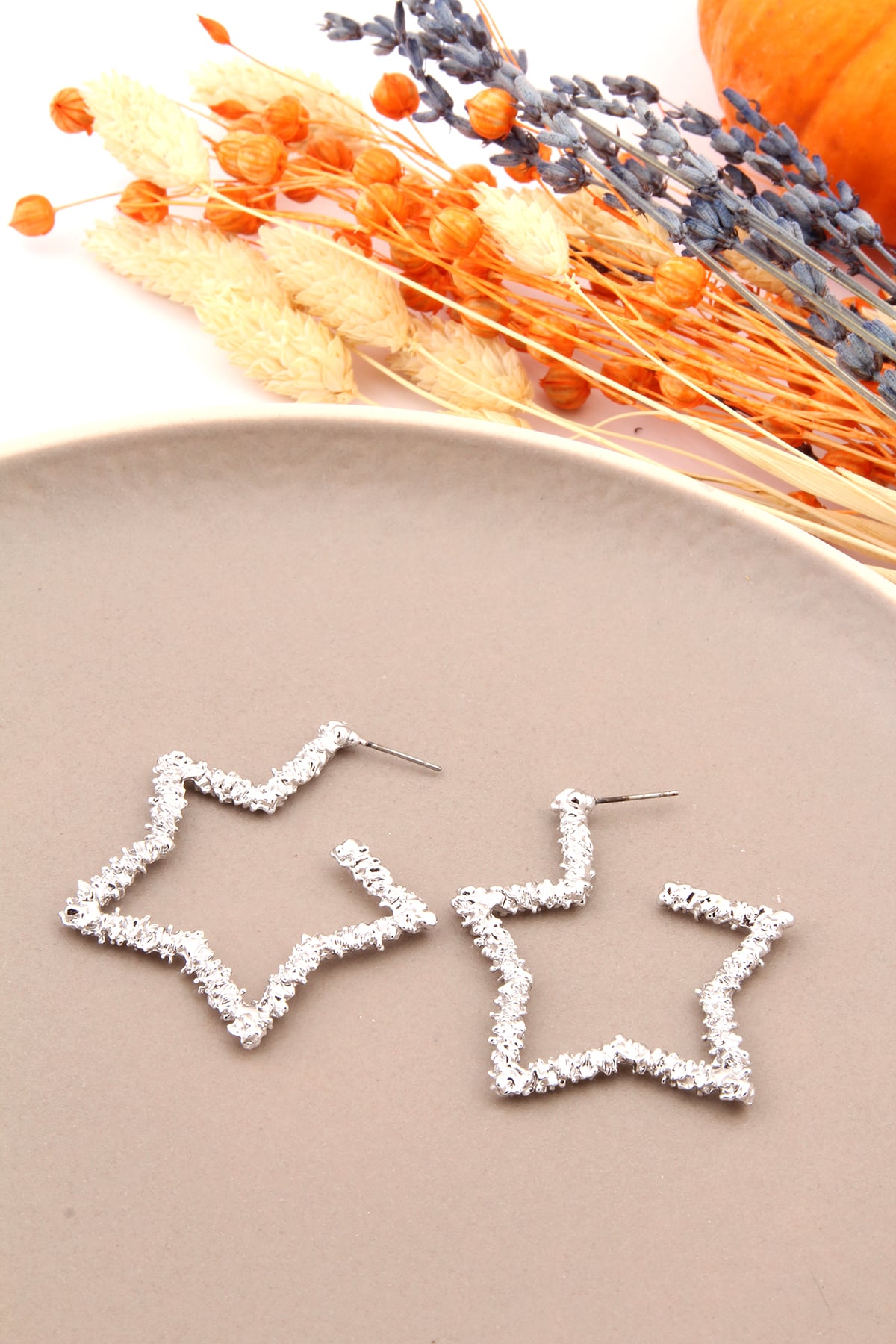 Dokulu silver Renk Yıldız Küpe